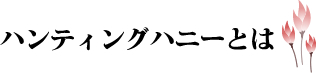 ハンティングハニーとは