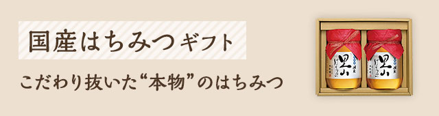 国産はちみつギフト