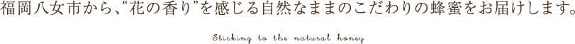 福岡八女市から、“花の香り”を感じる自然なままのこだわりの蜂蜜をお届けします。