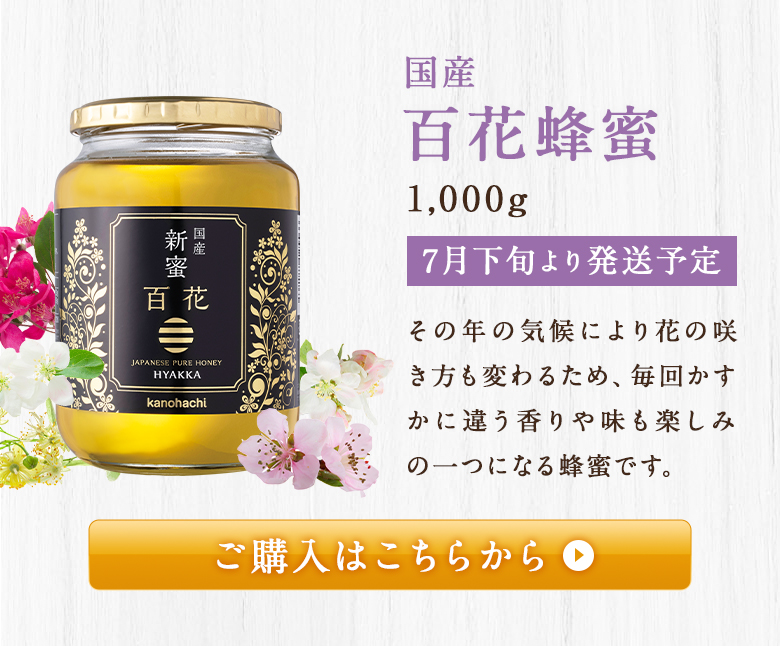 2023年度新蜜  国産はちみつ  300g × 3本  純粋  蜂蜜