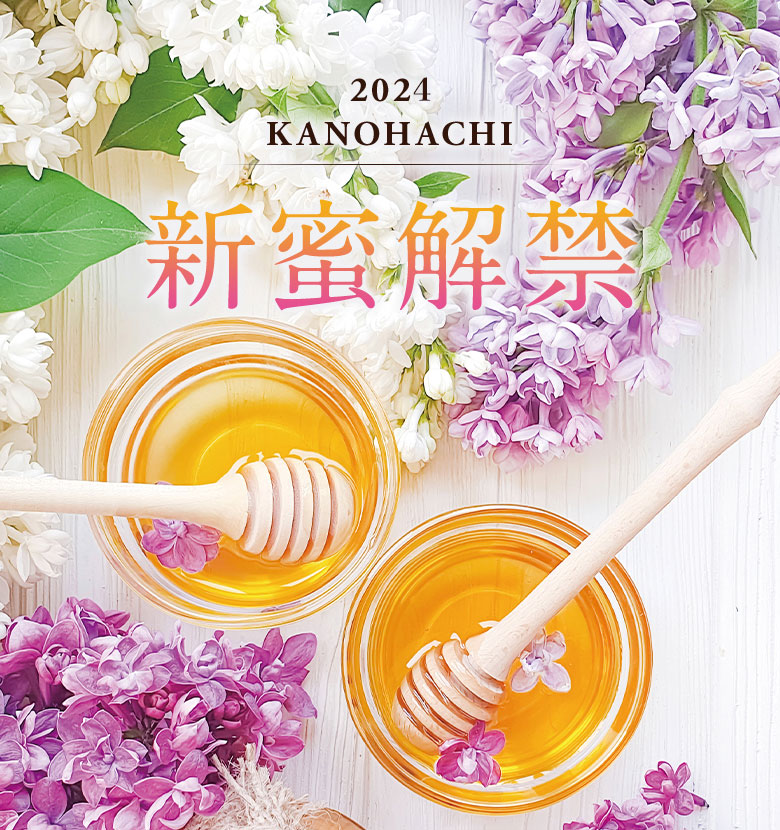 日本蜜蜂 蜂蜜 国産 600g×2【2024年2月採蜜‼️】 楽天市場】日本ミツバチだけの純粋ハチミツ/600g【和歌山県