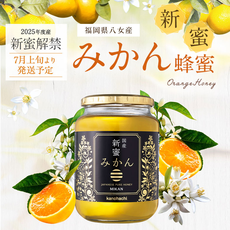 イー【2019年新蜜】国産純粋みかんハチミツ1000g×2本セット 国産蜂蜜】国産みかん蜂蜜1000g | 【国産】生きた蜂蜜（はちみつ