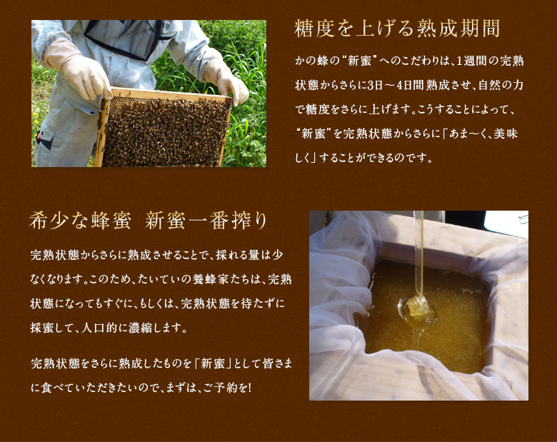 2025年度産新蜜】国産新蜜みかん蜂蜜1000g ※7月上旬より順次発送