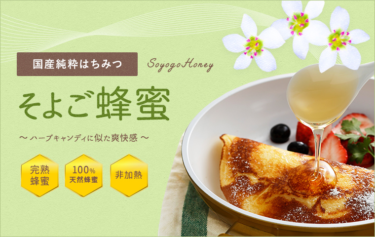 国産蜂蜜】国産そよご蜂蜜1000g（とんがり容器） | 【国産】生きた蜂蜜（はちみつ）専門店『かの蜂』通販サイト