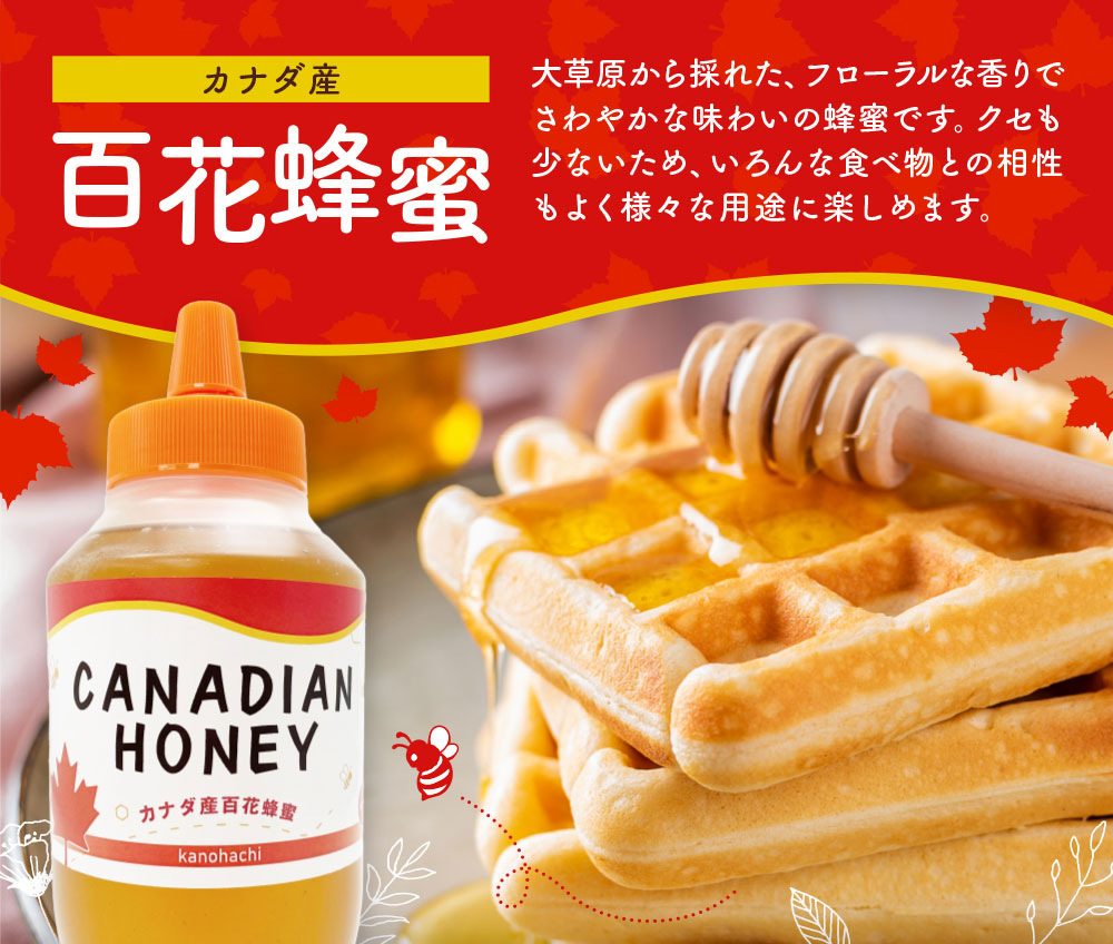 カナダ産百花蜂蜜 カナディアンハニー