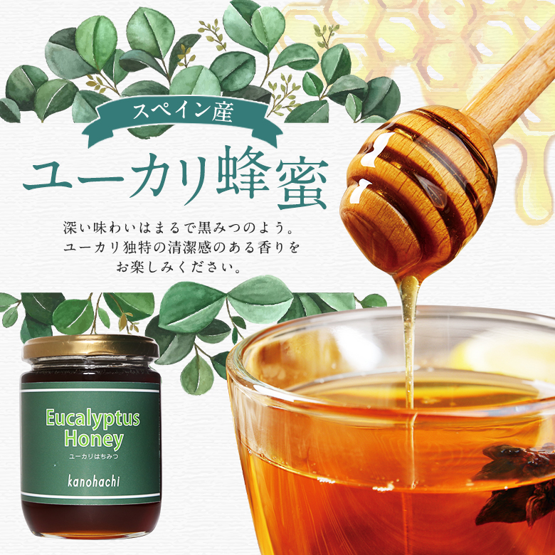 最安値挑戦！ 300g入×12本セット 株式会社サンフローラ はち蜜 ユーカリ ビン入り 100％ブラジル産天然はちみつ 純正蜂蜜  パン・ジャム・シリアル