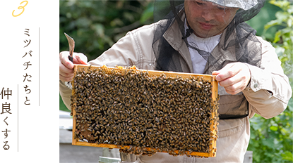 パネル 養蜂セット 値段交渉受け付けます。 - 通販 - www.proesmin.com