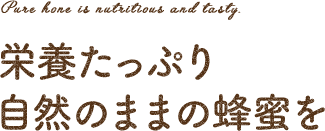 栄養たっぷり自然のままの蜂蜜を