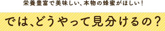 栄養豊富で美味しい、本物の蜂蜜がほしい！では、どうやって見分けるの？