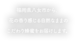 福岡県八女市から、花の香り感じる自然なままのこだわり蜂蜜（はちみつ）をお届けします。