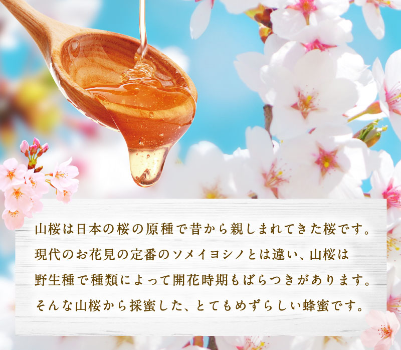 国産蜂蜜】国産山桜蜂蜜1kg | 【国産】生きた蜂蜜（はちみつ